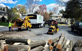 Russell, KY Tree Care Company